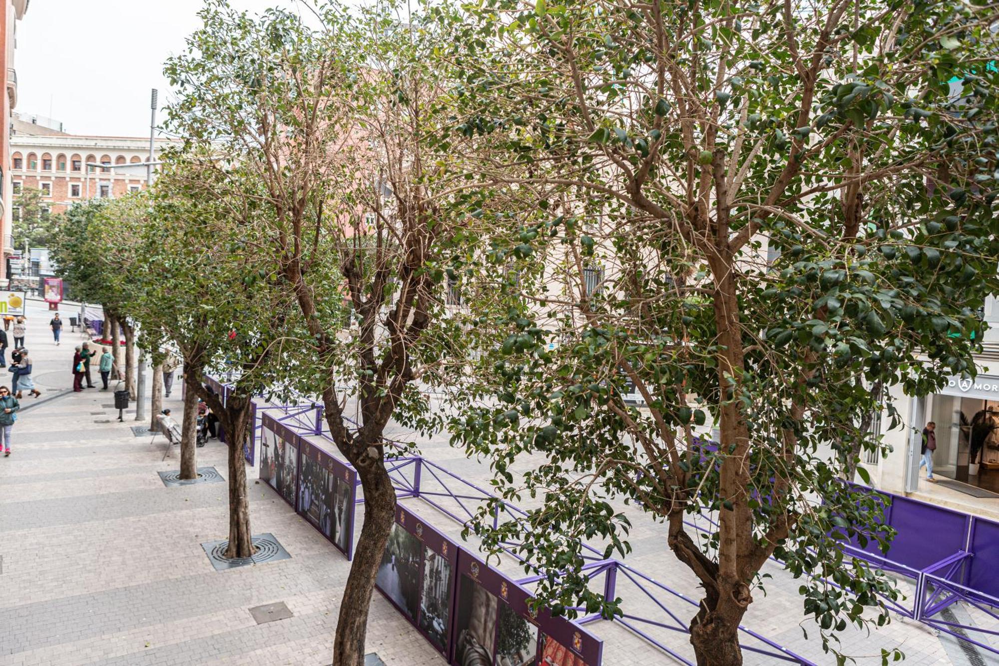 Royar Apartamentos Jaen Exterior photo